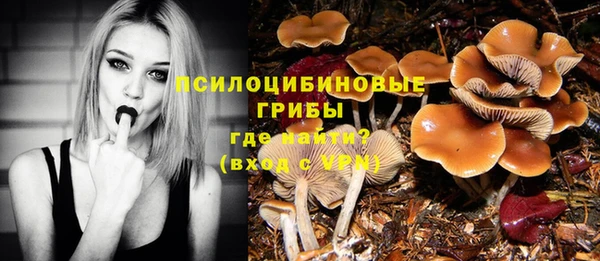 стафф Лихославль