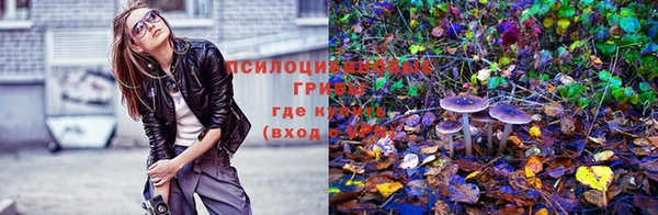 стафф Лихославль