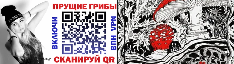 Галлюциногенные грибы GOLDEN TEACHER  Купить где  Великий Новгород 